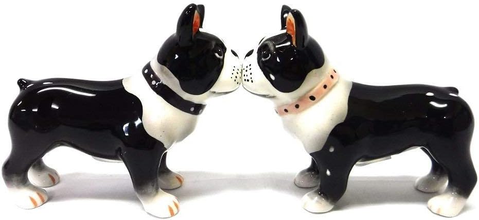 Pacific Giftware Salt & Pepper Shakers - Boston Terrier Pups Magnetic Salt and Pepper Shakers
