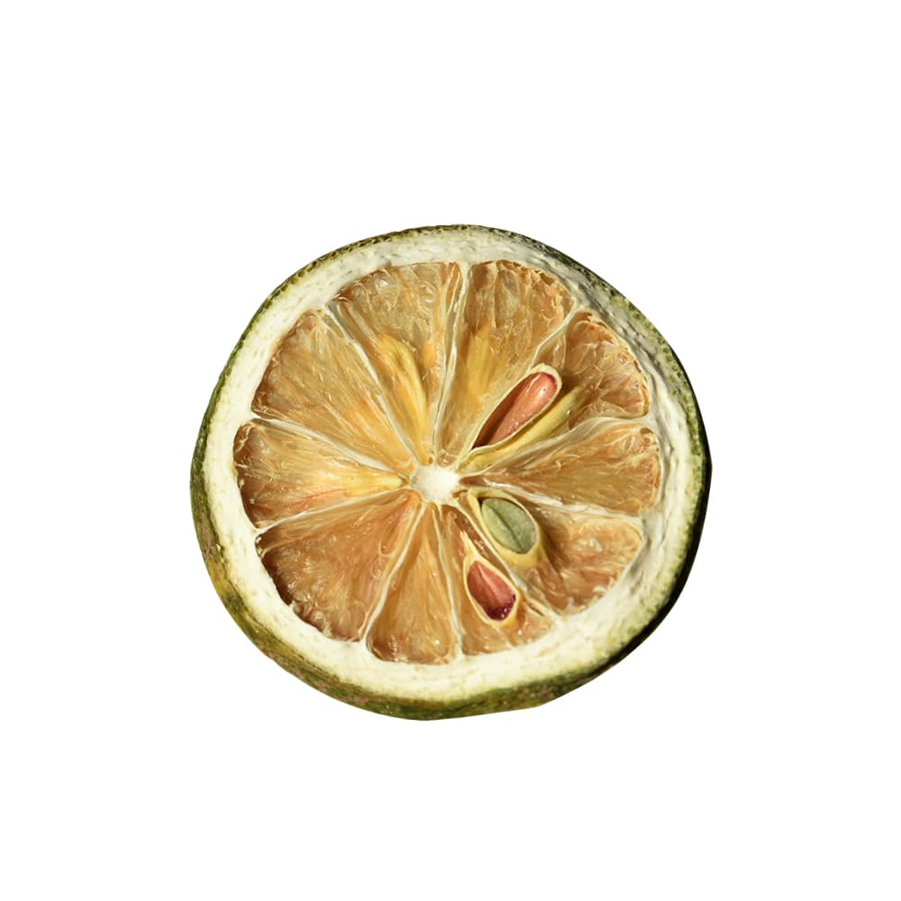 Dried Lime Slices 3.52oz/100g, Dehydrated Dry Lime For Cocktails, 100% Natural & No Additives, No Sugar Added (3.52 oz)