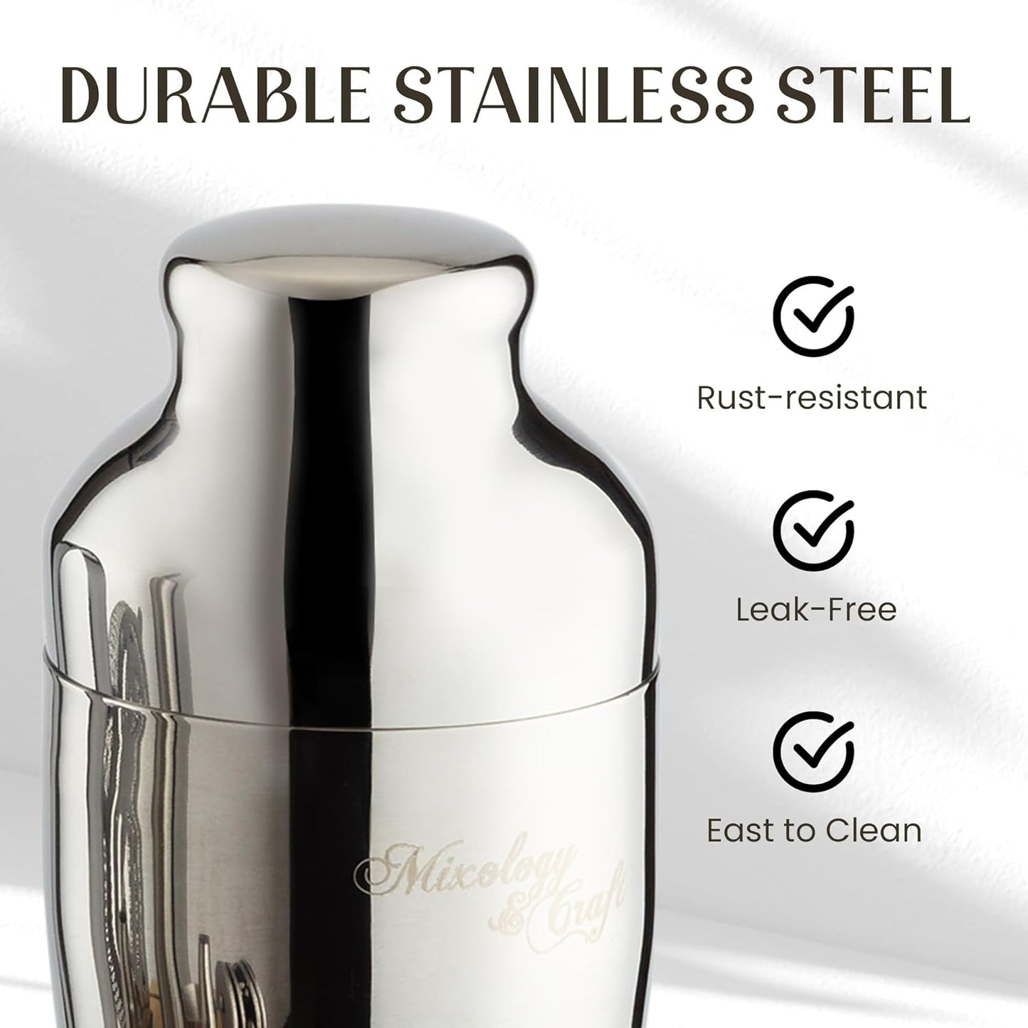 Mixology & Craft Cocktail Shaker Set with Bamboo Stand - Professional 18oz 10-Piece Bartender Kit, Complete Bar Set for Home Use with Jigger, Muddler, Strainer, Spoon, Pourers & Corkscrew (Silver)